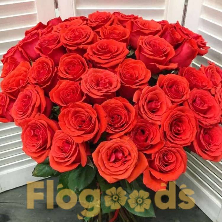 51 красная роза за 19 529 руб.